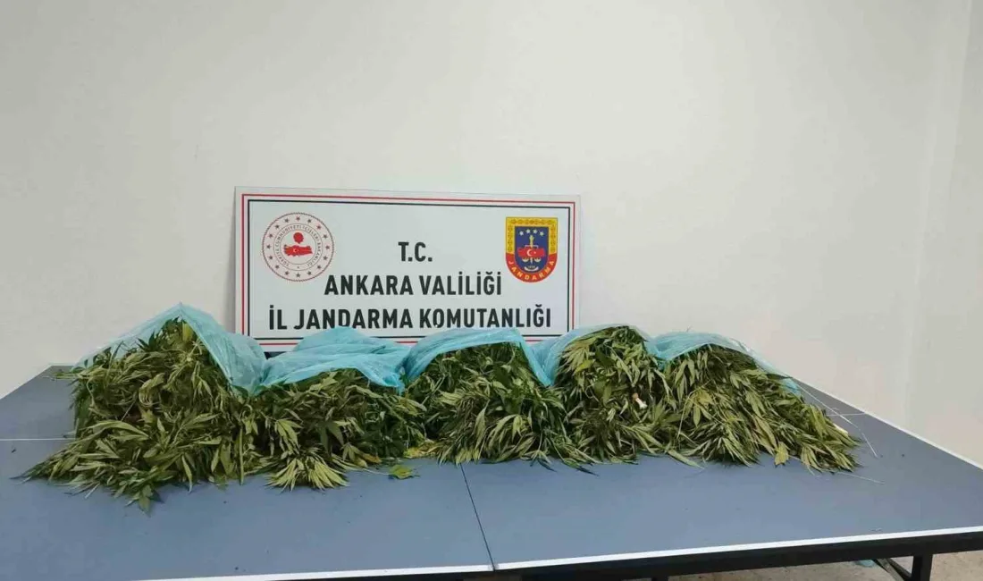 ANKARA'NIN ÇAMLIDERE İLÇESİNDE GERÇEKLEŞTİRİLEN