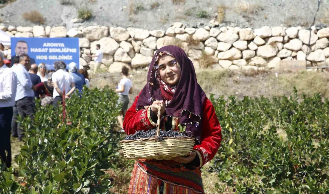 ANTALYA BÜYÜKŞEHİR BELEDİYESİ’NİN TEŞVİK