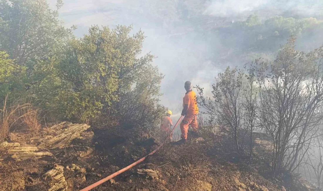 ANTALYA’DA ORMAN YANGINI BAŞLADI