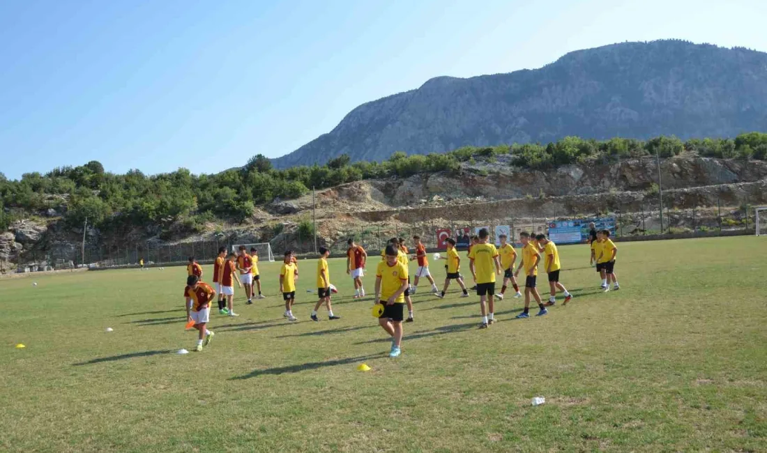 AMATÖR SPOR KULÜPLERİ FEDERASYONU