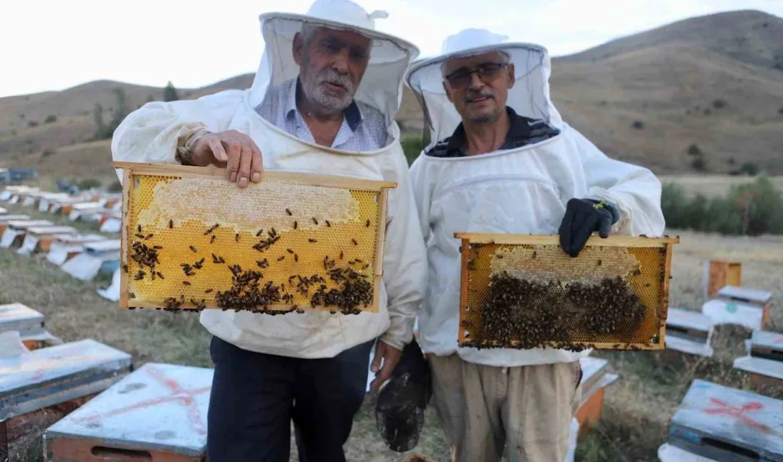 ARICILIĞA HOBİ OLARAK BAŞLAYAN