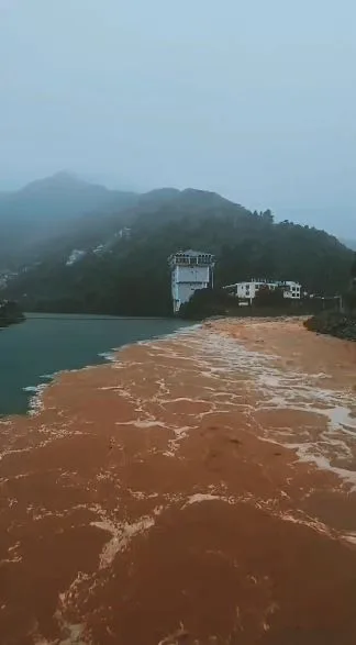 Artvin’de şiddetli yağış sonrası taşan dereler Çoruh nehriyle böyle buluştu