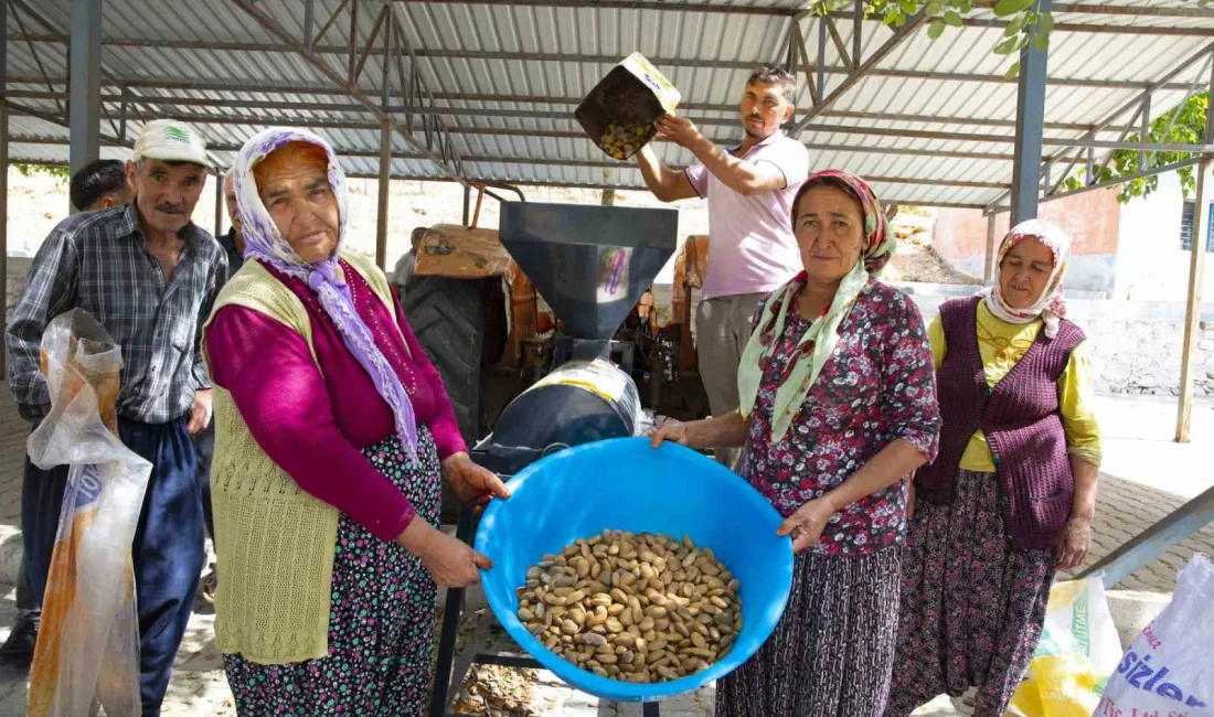 MERSİN BÜYÜKŞEHİR BELEDİYESİ'NİN TARIMSAL