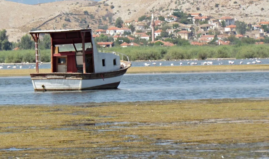 AYDIN (İHA) - TÜRKİYE’NİN