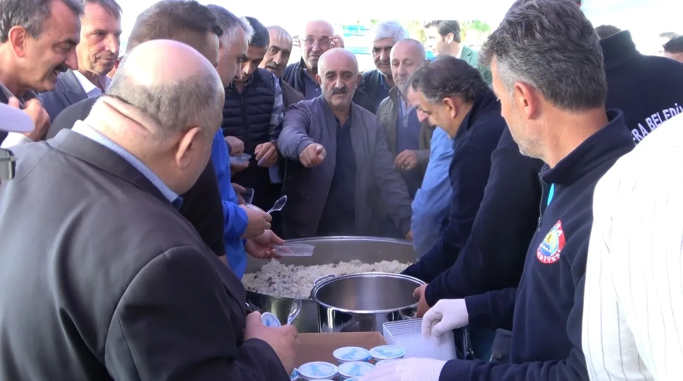 Bafra Ovası’nda Çeltik Hasat Şenliği: 165 bin ton rekolte beklentisi