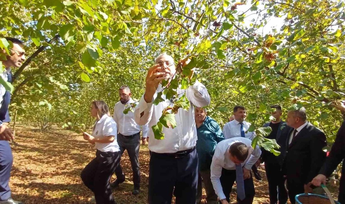 ÇALIŞMA VE SOSYAL GÜVENLİK