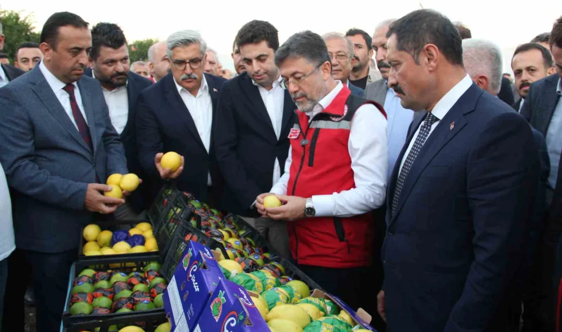 HATAY'DA TEMASLARDA BULUNAN TARIM