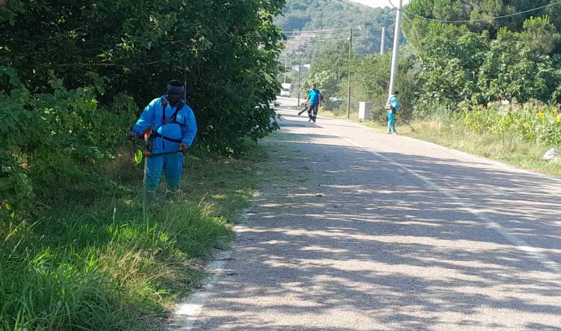 BAŞİSKELE'DEKİ PARKLARDA VE YEŞİL