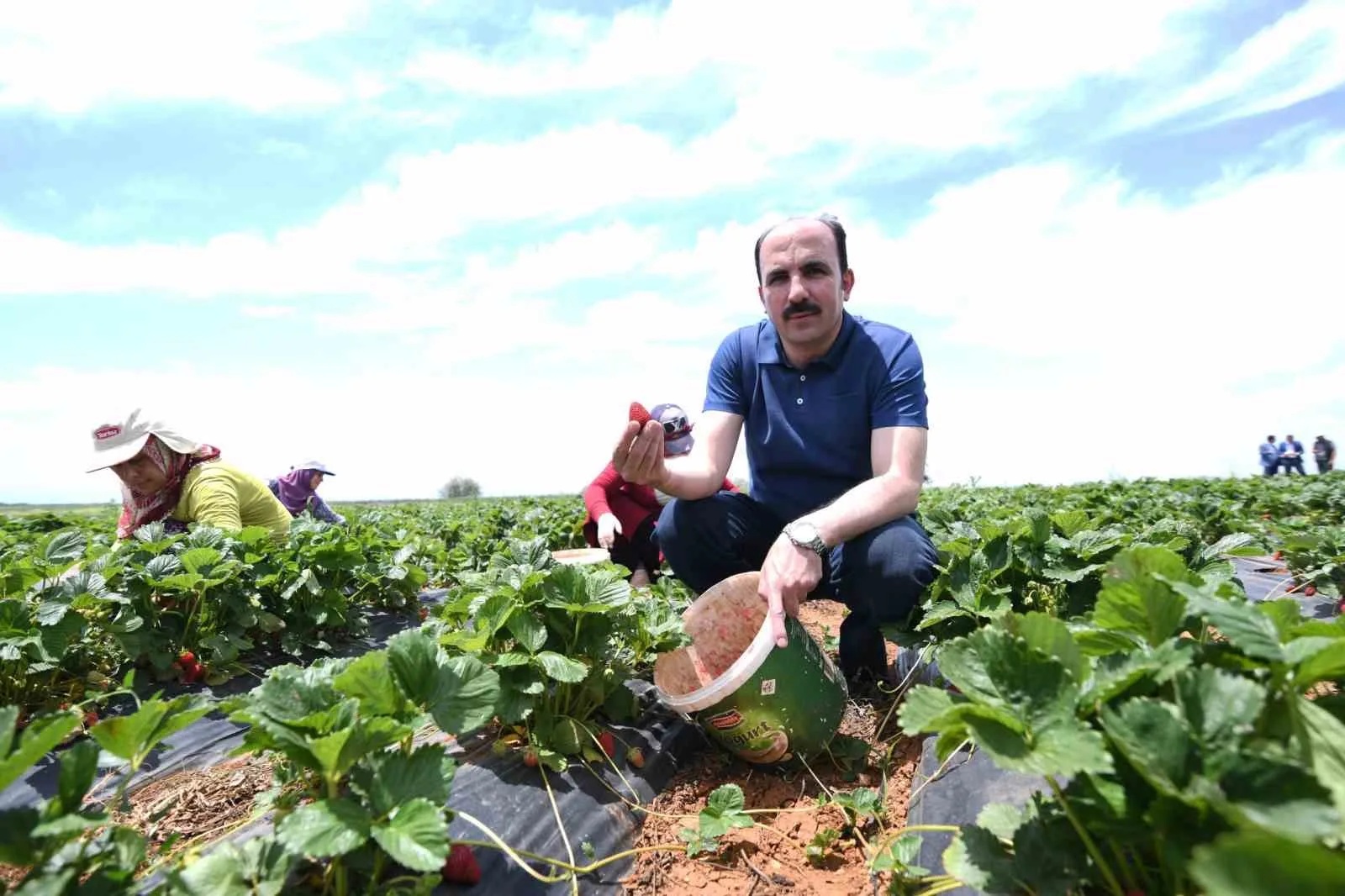 Başkan Altay: “Hüyük çileği AB tescili alan Konya’mızın ilk ürünü oldu, hayırlı olsun”