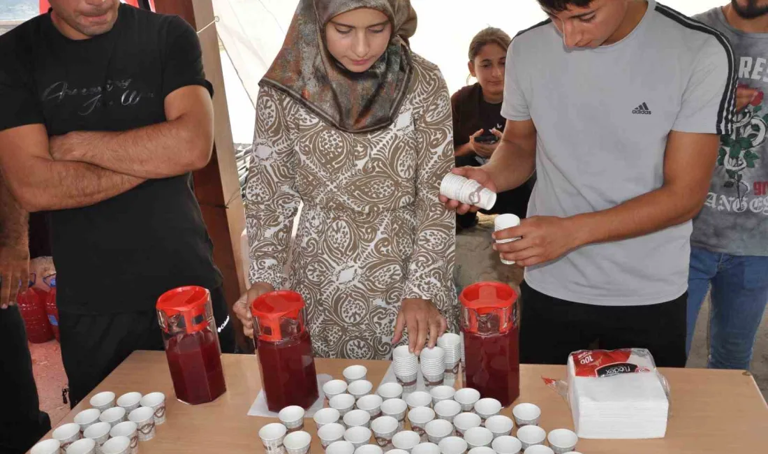 BATMAN’DA DAĞLARDAN TOPLANAN ŞİFA