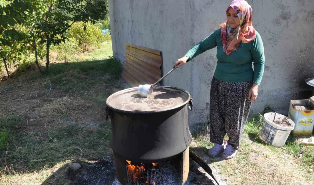 BATMAN’DA BAĞ BOZUMU İLE