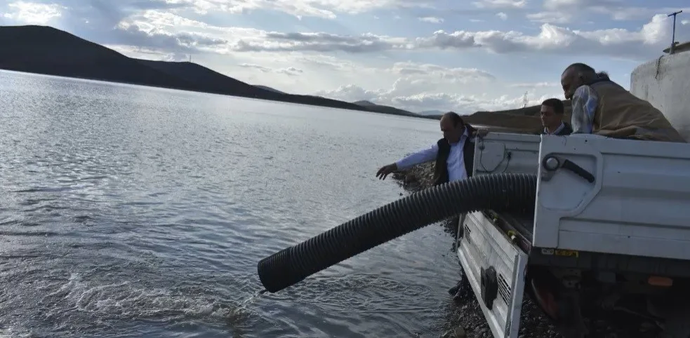 Bayburt’ta baraj ve göletlere 574 bin yavru balık bırakıldı