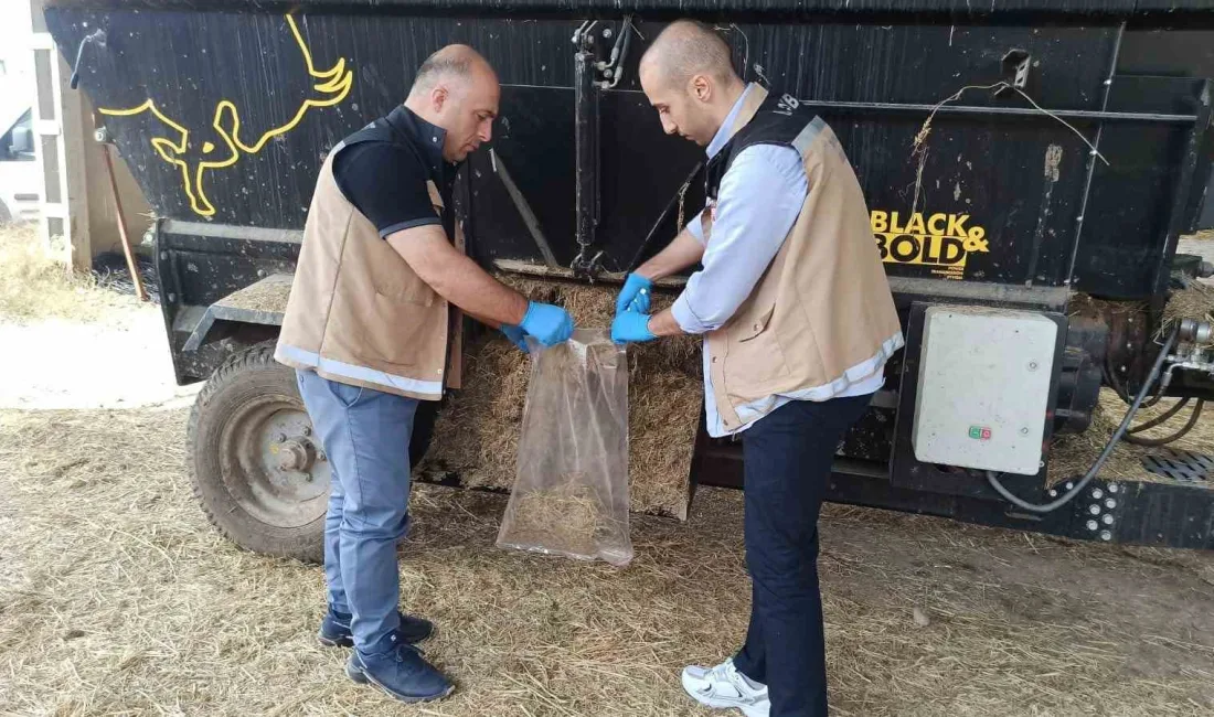 BAYBURT'TA YEMLERDEN İNCELENMEK ÜZERE