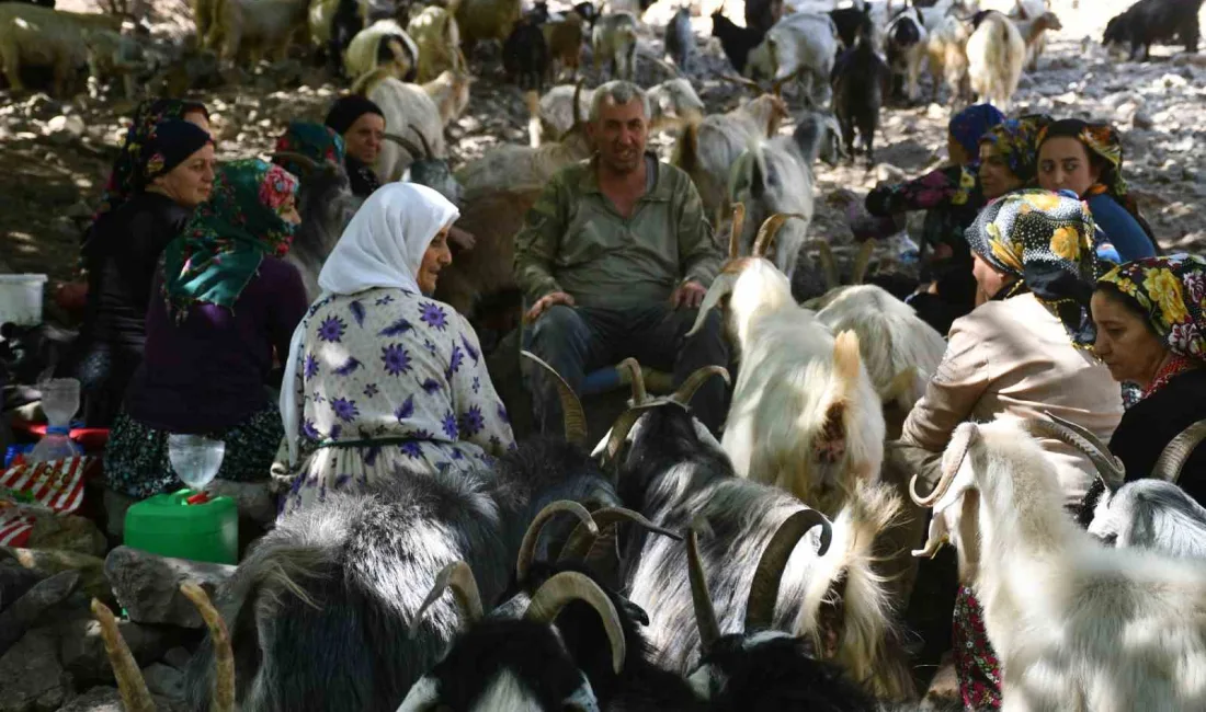 ŞIRNAK’TA HAVALARIN SOĞUMASIYLA BERABER