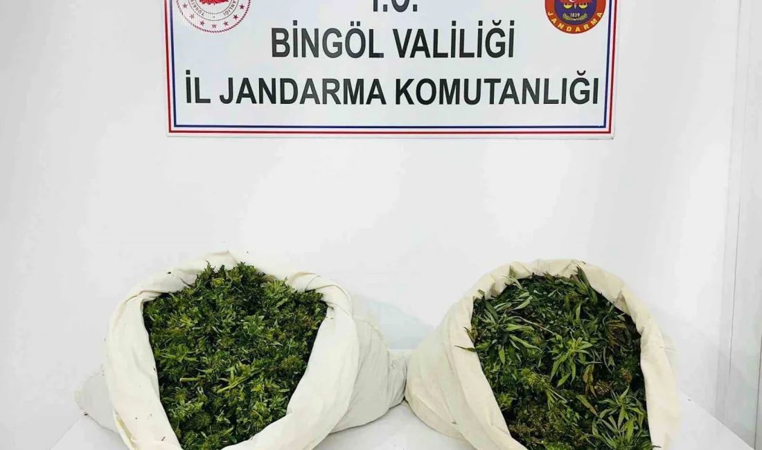 BİNGÖL’DE JANDARMA EKİPLERİNİN YAPTIĞI