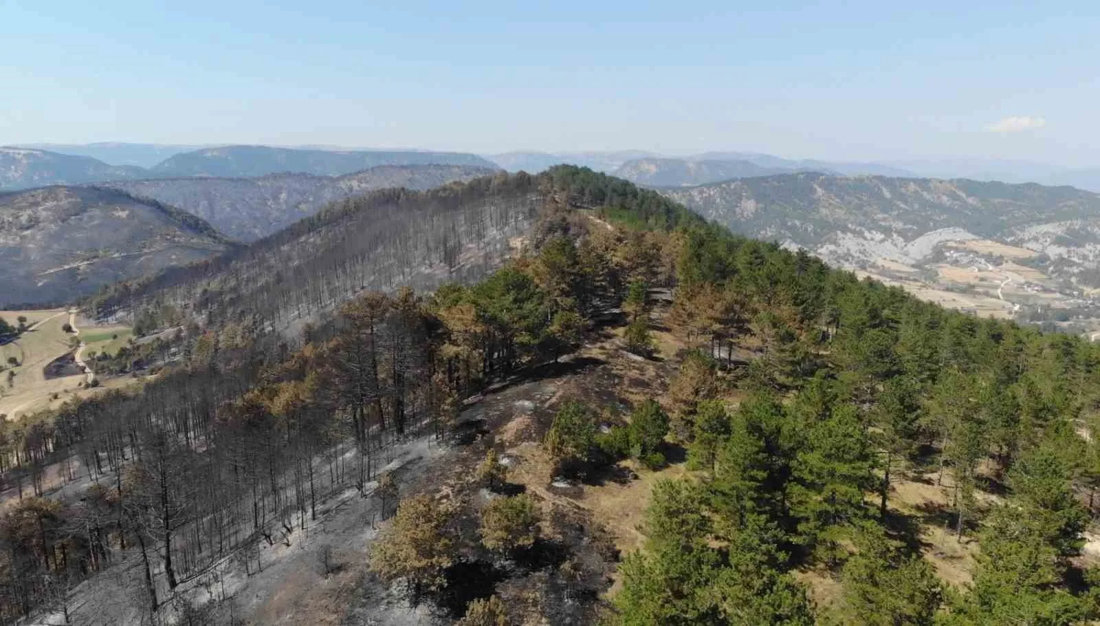 Bolu tarihinin en büyük yangınının yaraları sarılıyor