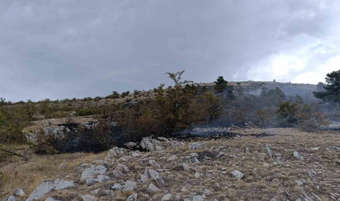 BOLU’NUN GÖYNÜK İLÇESİNDE ÇIKAN