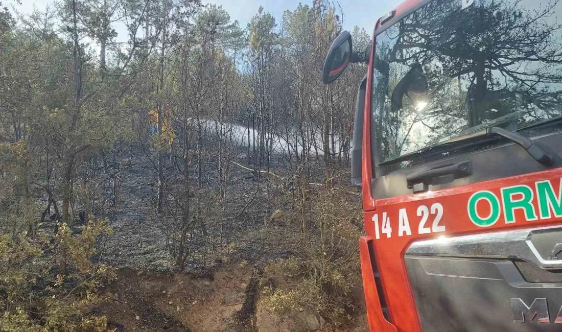 BOLU’NUN GÖYNÜK İLÇESİNDE BAŞLAYAN