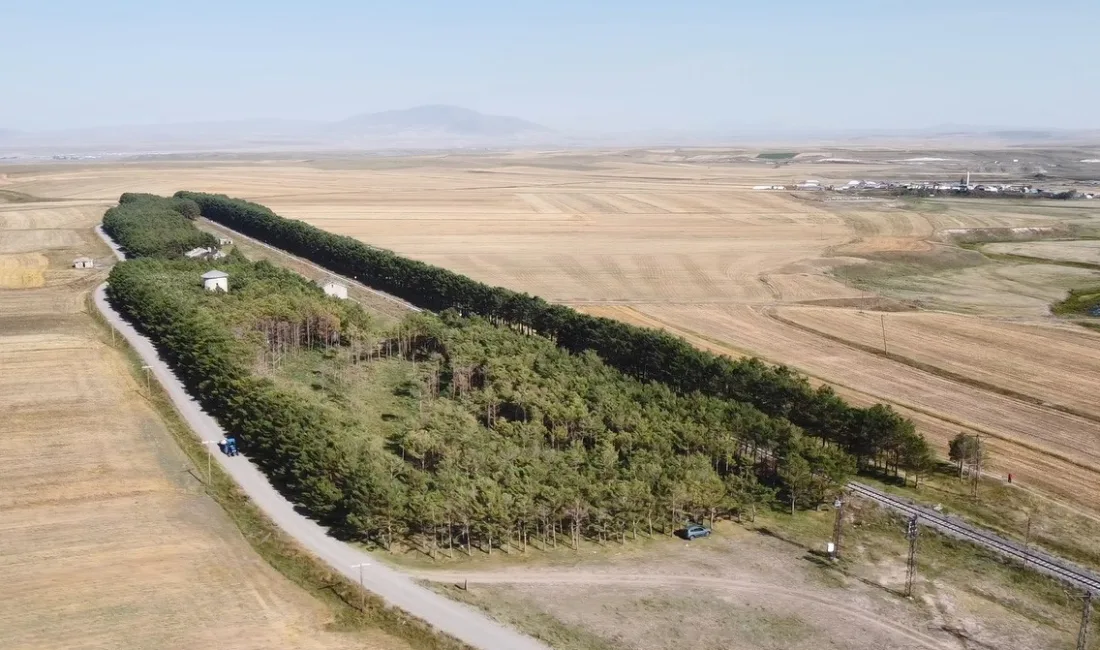 BENLİAHMET TREN İSTASYONU'NDAN EYLÜL