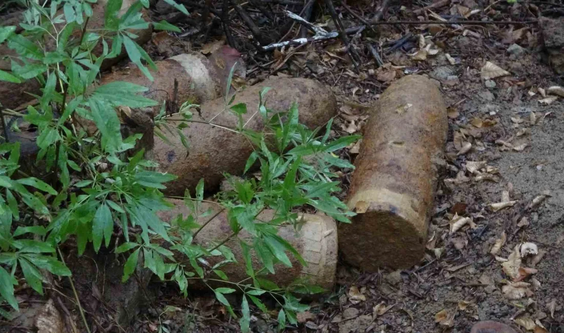 ÇANAKKALE SAVAŞLARI’NIN GERÇEKLEŞTİĞİ TARİHİ