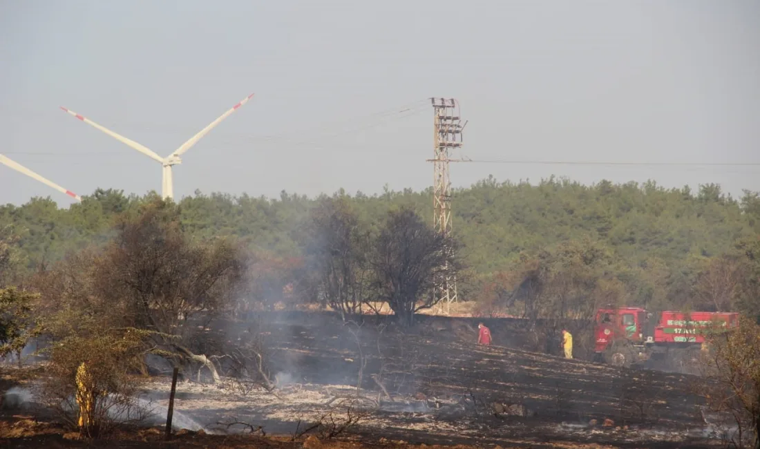 ÇANAKKALE'NİN BAYRAMİÇ İLÇESİ YENİKÖY