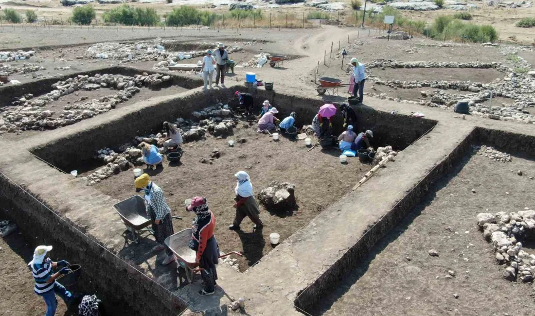 DİYARBAKIR'IN ERGANİ İLÇESİNDE GÖÇEBELİKTEN