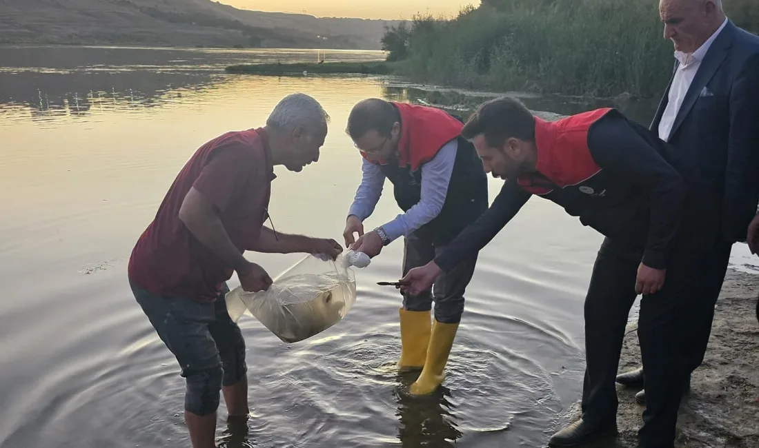 ŞIRNAK'IN CİZRE İLÇESİNDE "SU