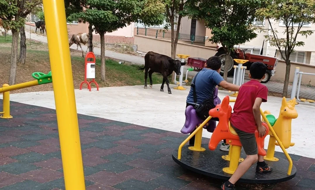 BİLECİK'TE ÇOCUKLARINI PARKA GÖTÜREN