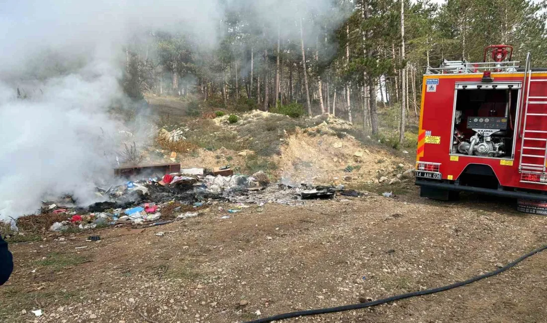 BOLU’DA ORMANLIK ALANA YAKIN