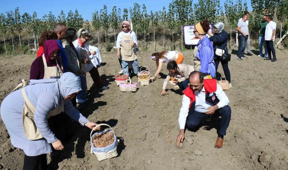 ÇORUM’DA DÜNYANIN EN PAHALI