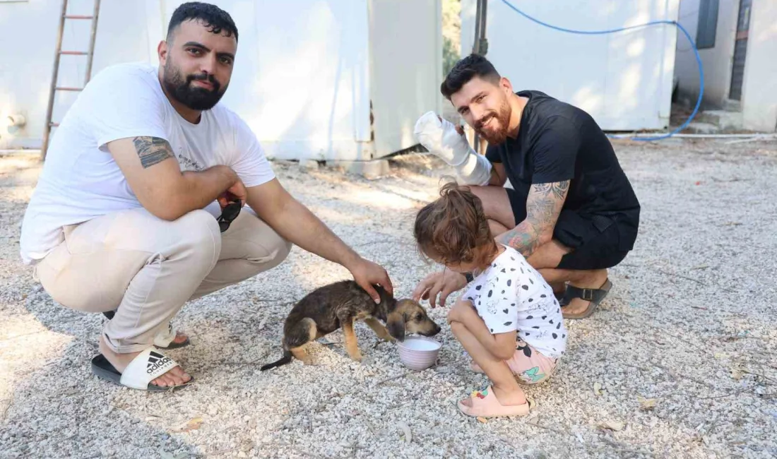 HATAY’IN ANTAKYA İLÇESİNDE YAŞAYAN İBRAHİM KOÇAK İLE MURAT ASAN, ARKADAŞLARININ