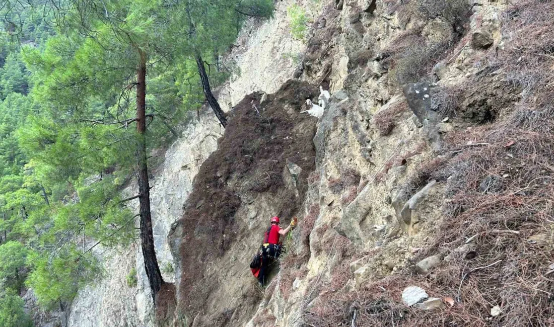 ISPARTA’NIN EĞİRDİR İLÇESİNDE DAĞDA