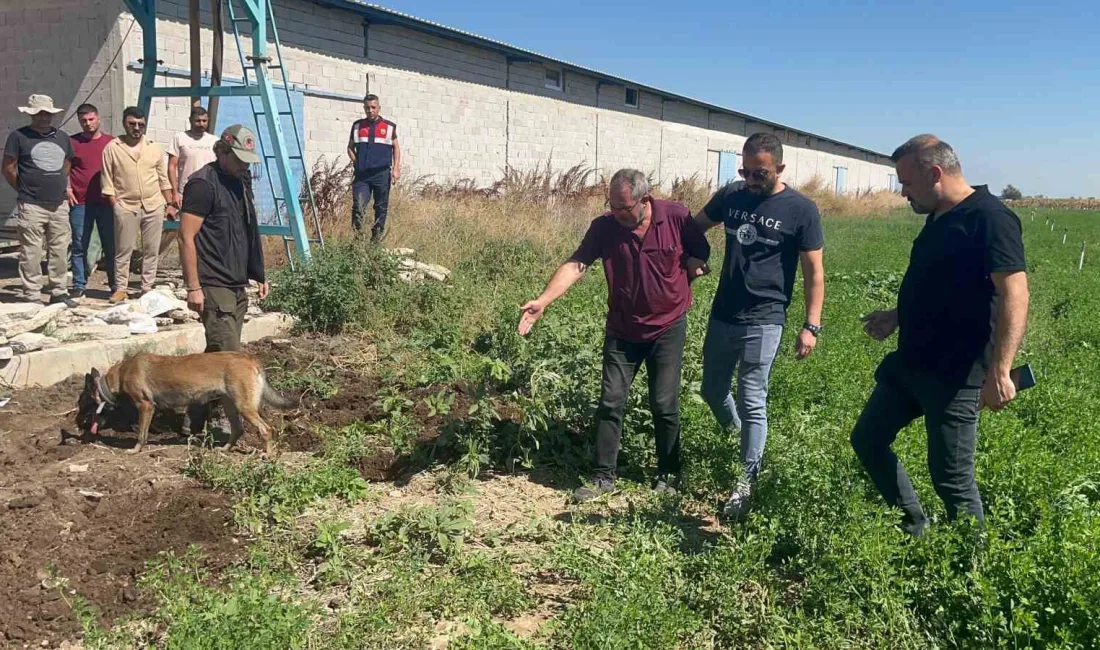 ÜVEY DAYISINI ÖLDÜREN FAHRİ