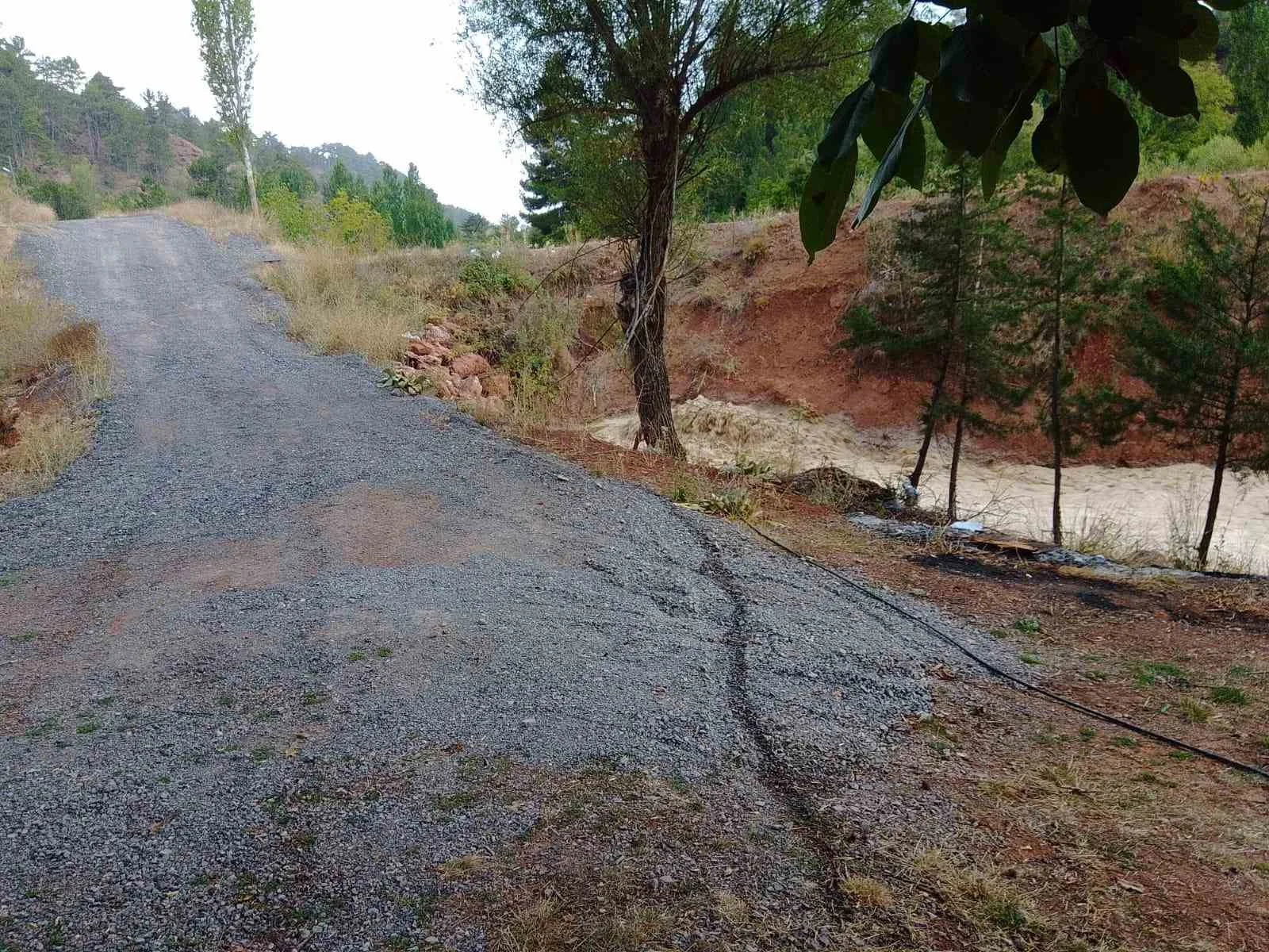 Denizli’de şiddetli yağış dereleri taşırdı