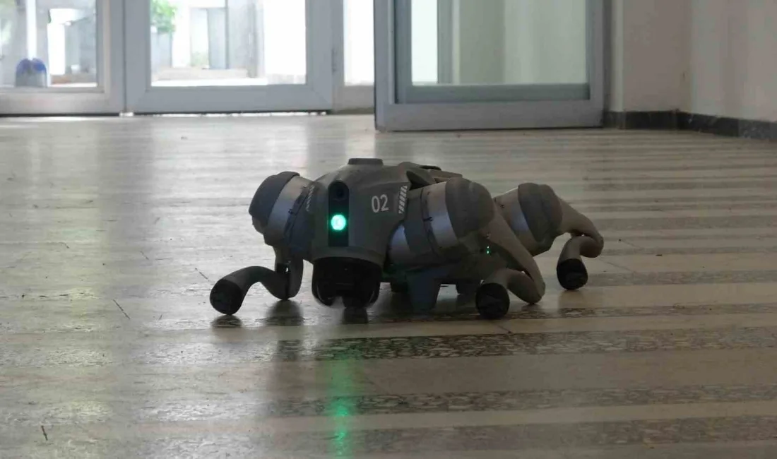 PROJE İLE ROBOTİK KÖPEKLER