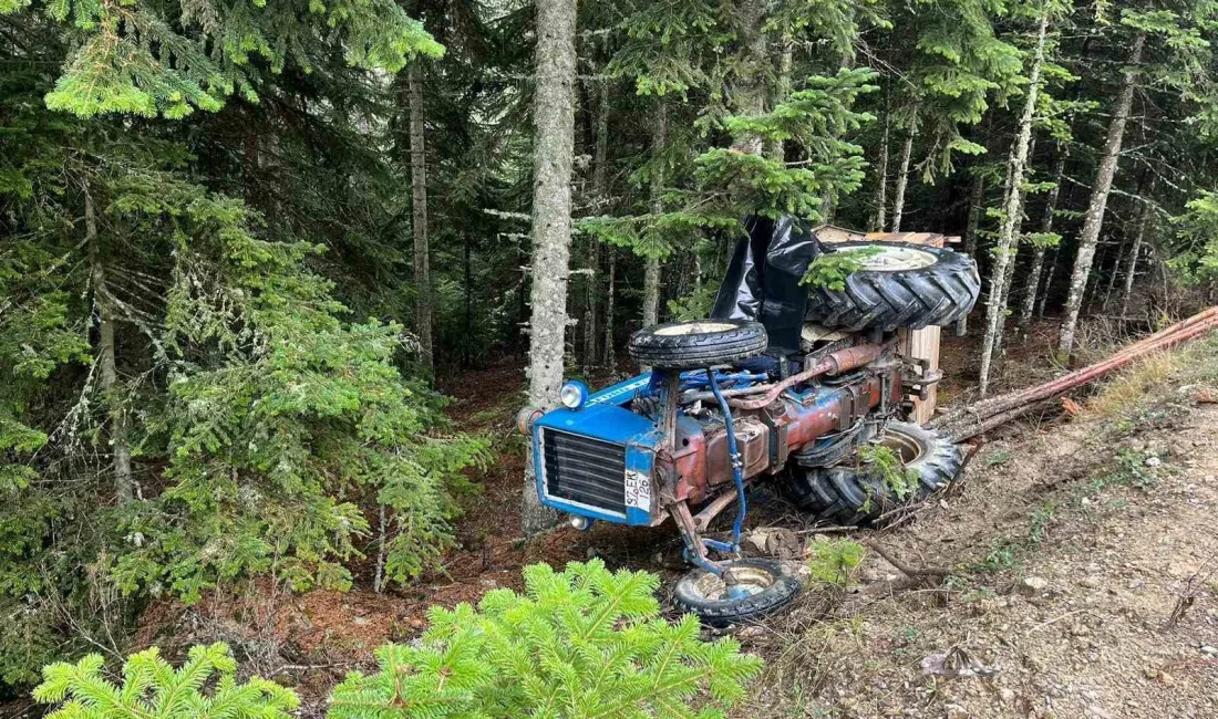 KASTAMONU'NUN DADAY İLÇESİNDE DEVRİLEN