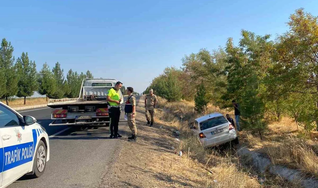 DİYARBAKIR'IN ÇINAR İLÇESİNDE SÜRÜCÜSÜNÜN