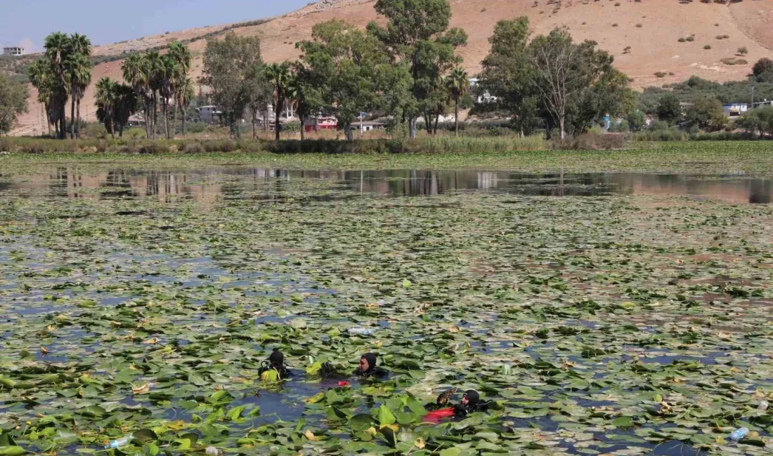 HATAY’DA BULUNAN DOĞA HARİKASI