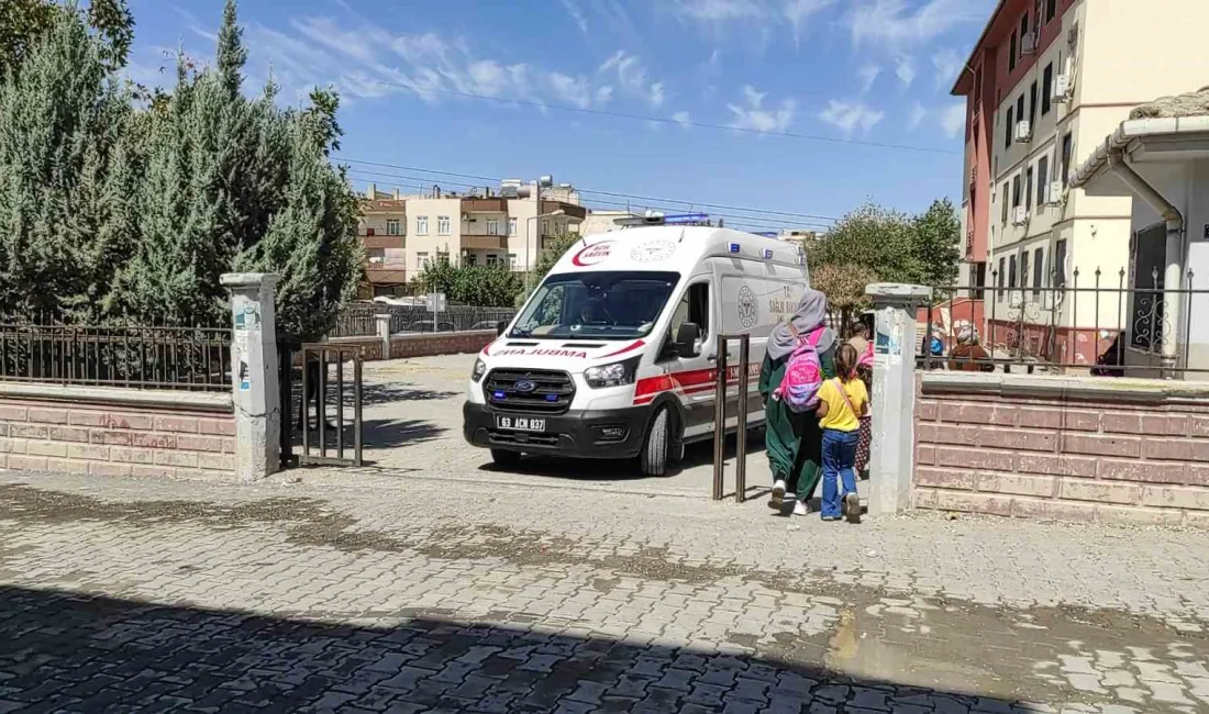 ŞANLIURFA’DA BİR ÖĞRENCİNİN DOĞUM