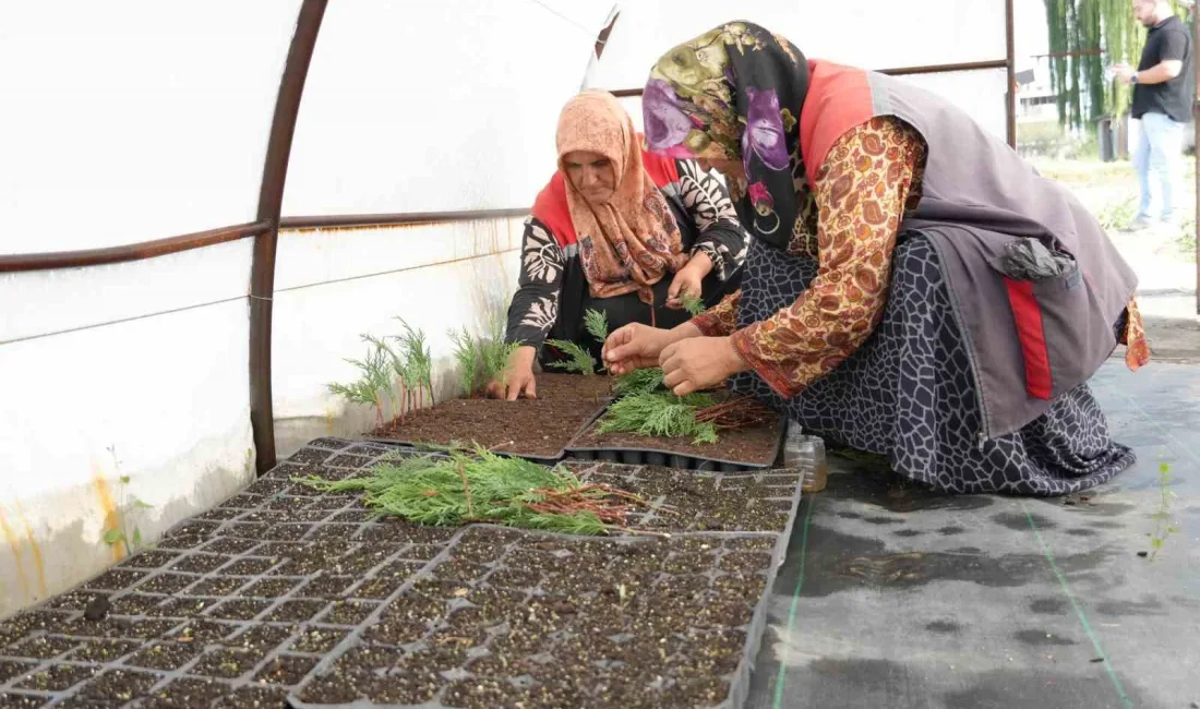 DÜZCE BELEDİYESİ, TARIM AKADEMİSİ