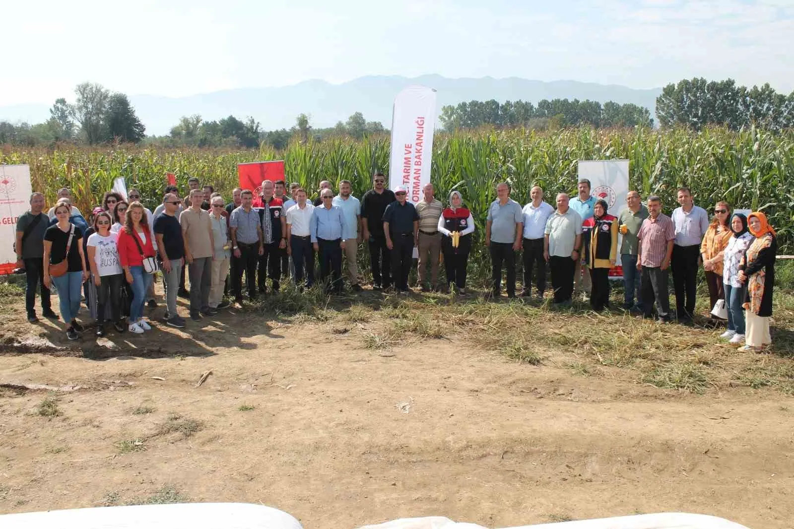 Düzce’de yerli silajlık mısır tarla günü düzenlendi