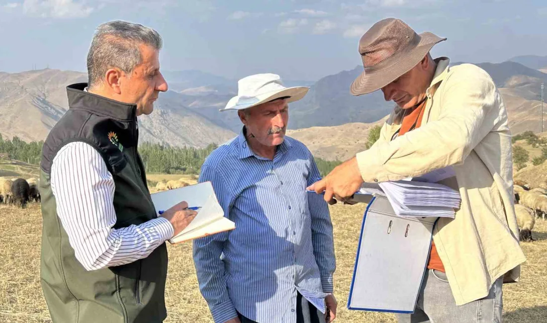 HAKKARİ’NİN YÜKSEKOVA İLÇE TARIM