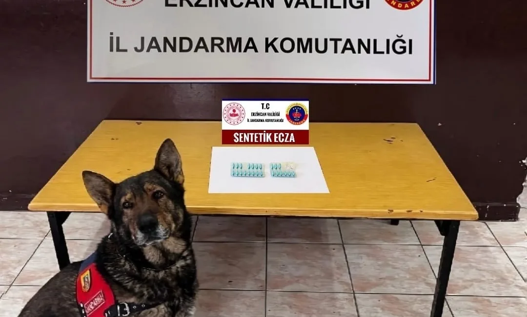 ERZİNCAN’DA JANDARMA MINTIKASINDA AĞUSTOS