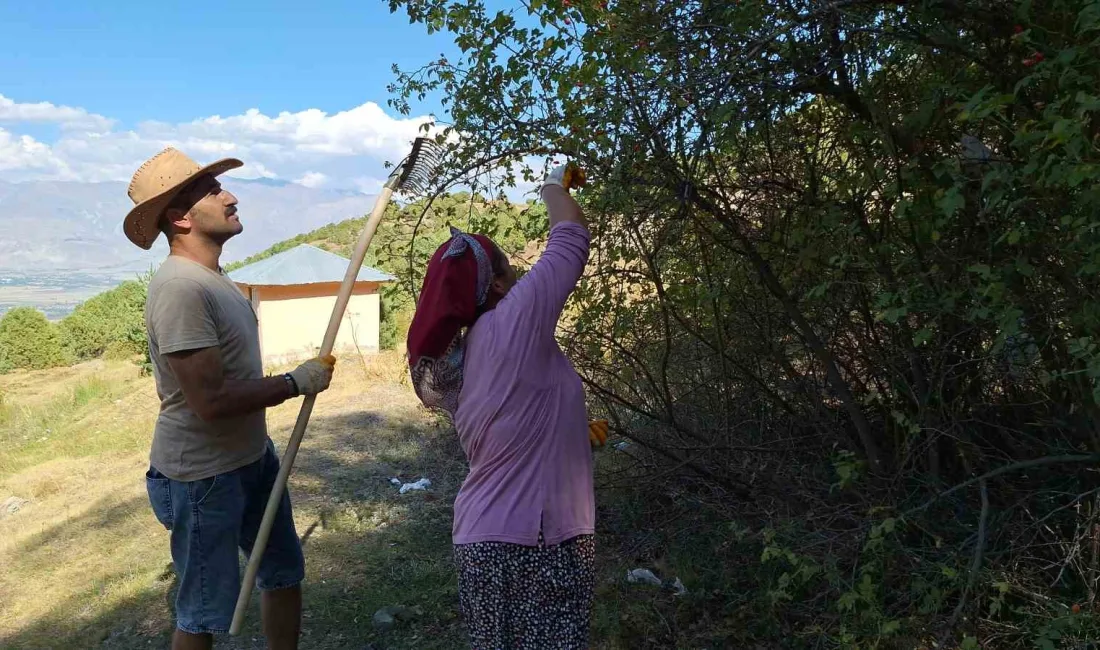 ERZİNCAN’DA KUŞBURNU, ZORLU ARAZİLERDE