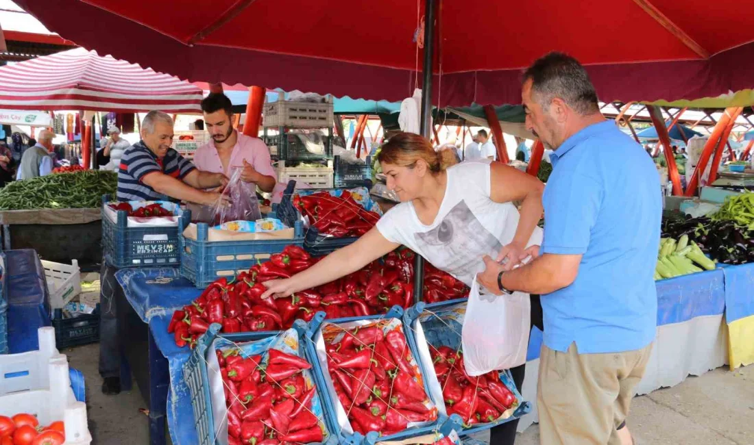 ERZİNCAN’DA SALÇALIK DOMATES VE