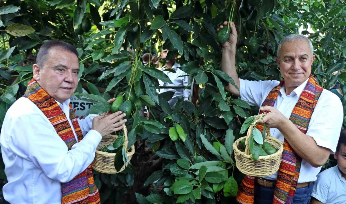 ANTALYA'DA DÜZENLENECEK OLAN FOODFEST