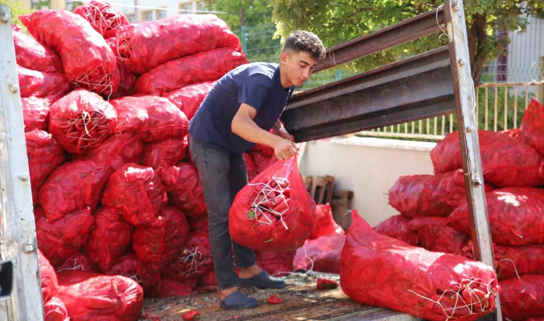 GAZİANTEP'TE BİBER SALÇASI ÜRETİM