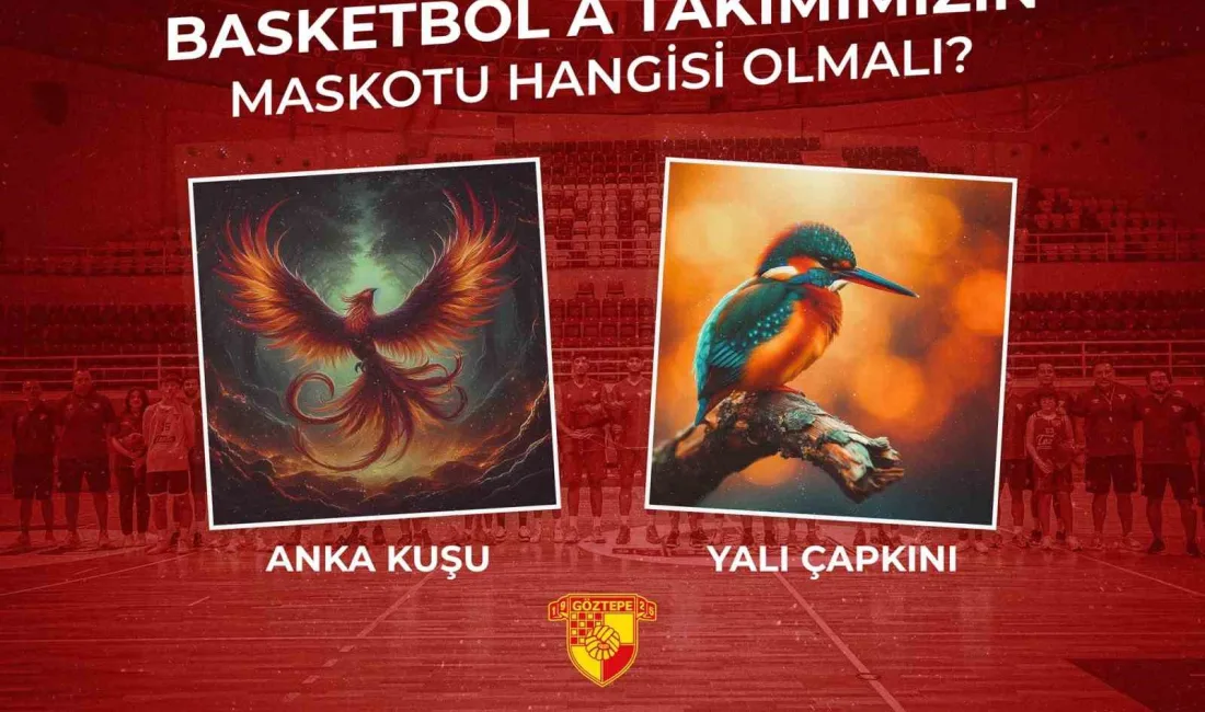 GÖZTEPE BASKETBOL, MOBİL UYGULAMASINDAN