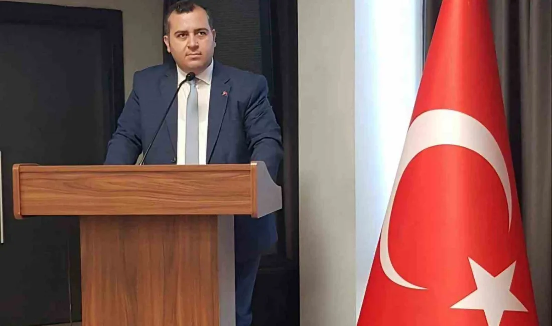 DEMOKRAT EĞİTİMCİLER SENDİKASI TEŞKİLATLANMA