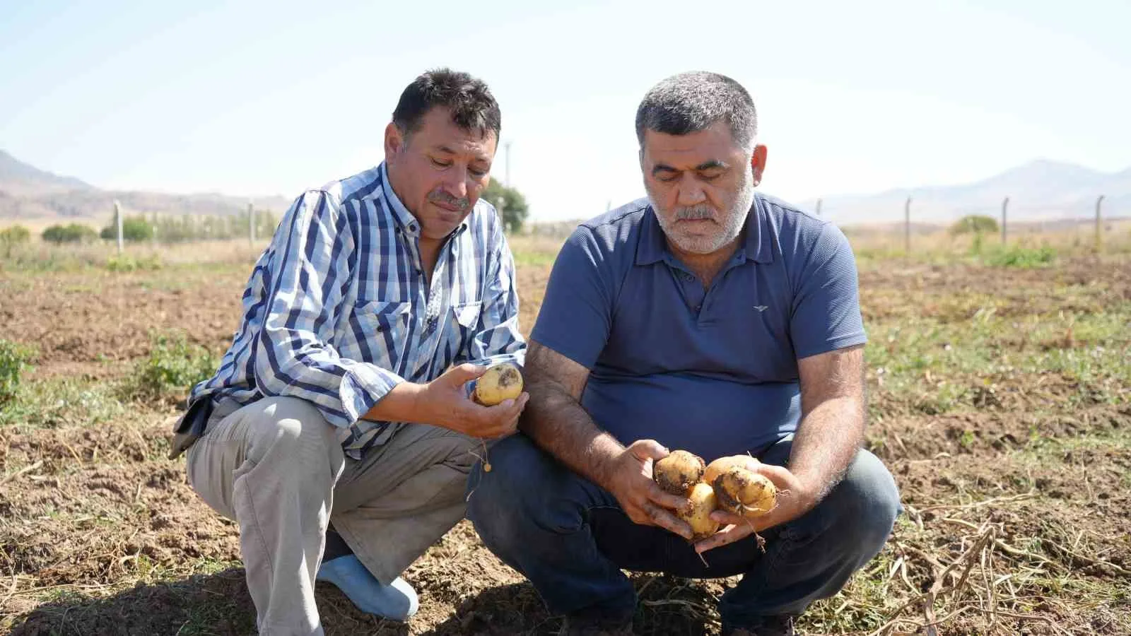 Hasat dönemi başladı: Çiftçiler, bin liranın üzerinde yevmiyeyle çalıştıracak işçi bulamakta zorlanıyor